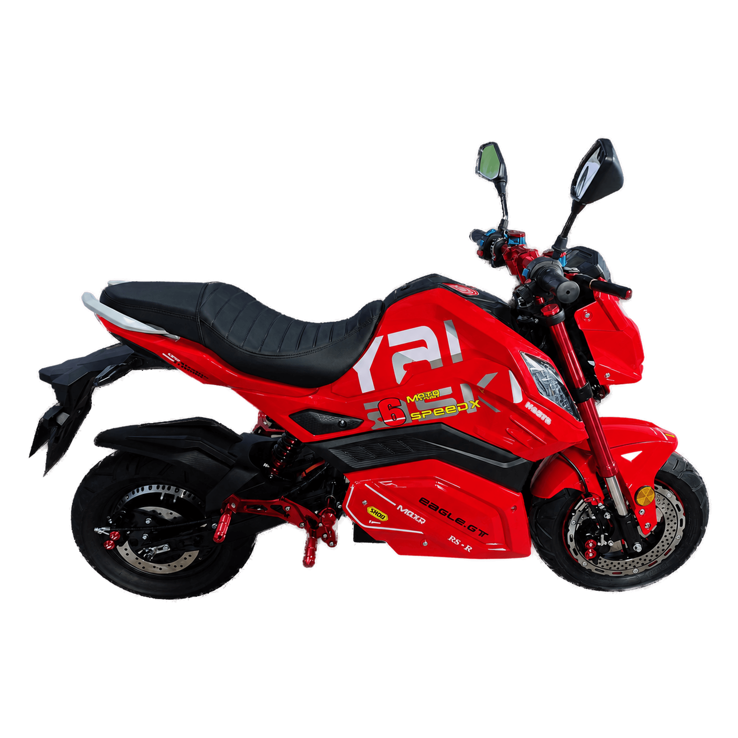 Z6 (8)
